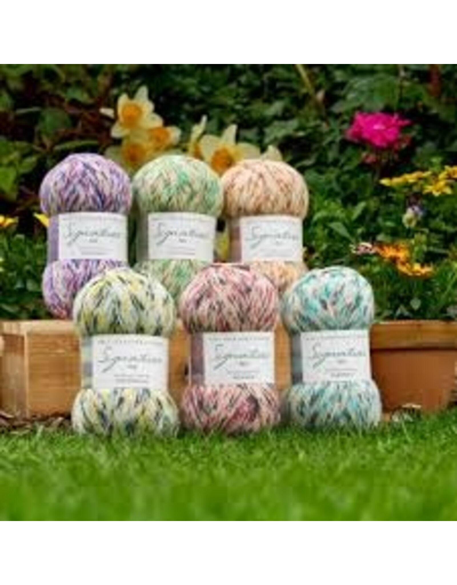 West Yorkshire Spinners WYS Signature 4 Ply - Butterfly Collection