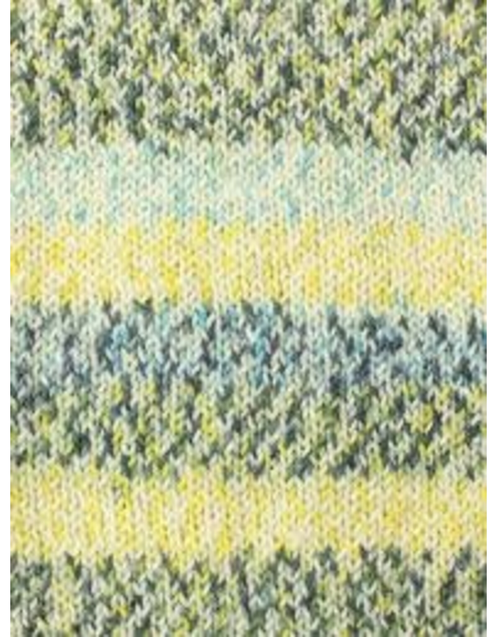 West Yorkshire Spinners WYS Signature 4 Ply - Butterfly Collection