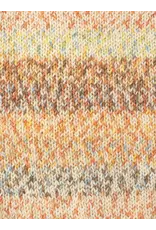 West Yorkshire Spinners WYS Signature 4 Ply - Butterfly Collection