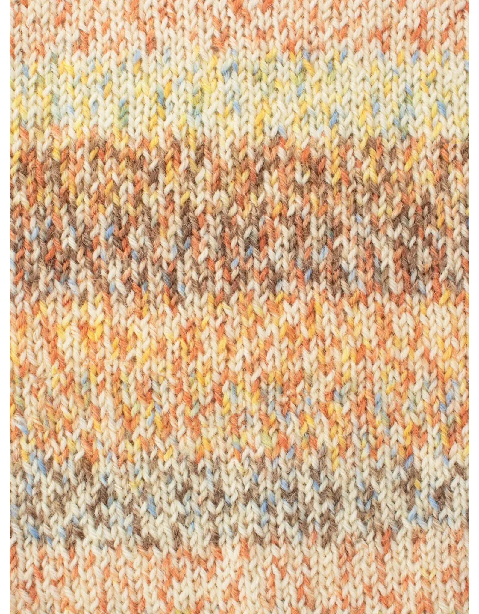 West Yorkshire Spinners WYS Signature 4 Ply - Butterfly Collection