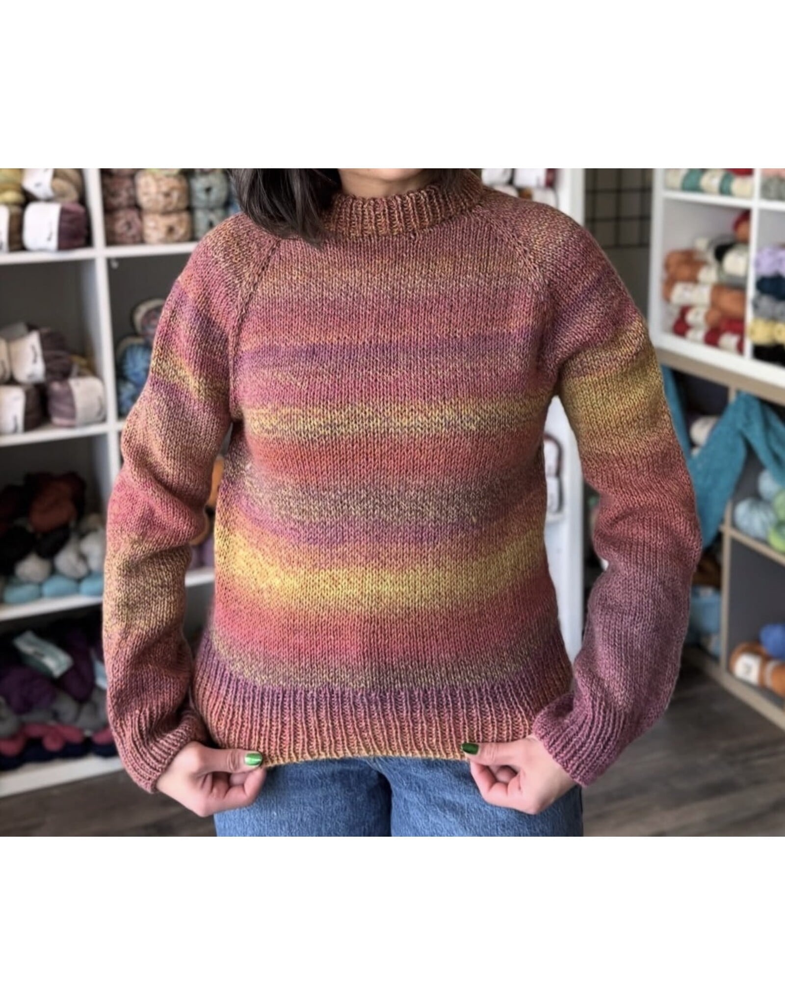Kate Icely In Store Class: Knit Your First Sweater - Multi-Week Class October-November 2026