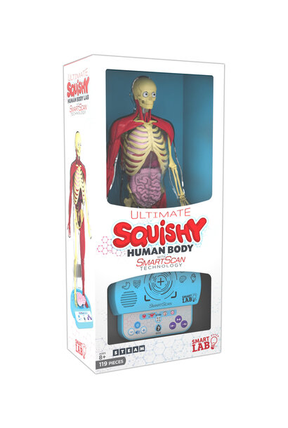 Ultimate Squishy Human Body Lab