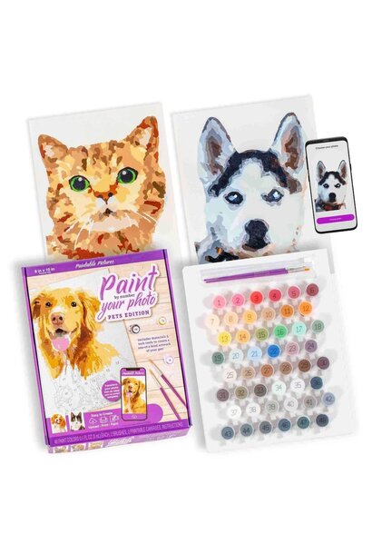 Paint By Number your Photo Pet