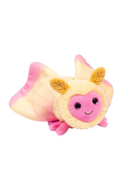Rosy Maple Moth