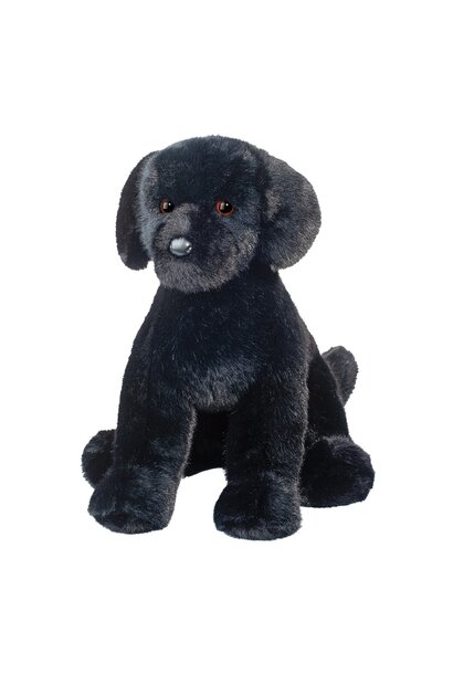 Spruce the Black Lab Dog
