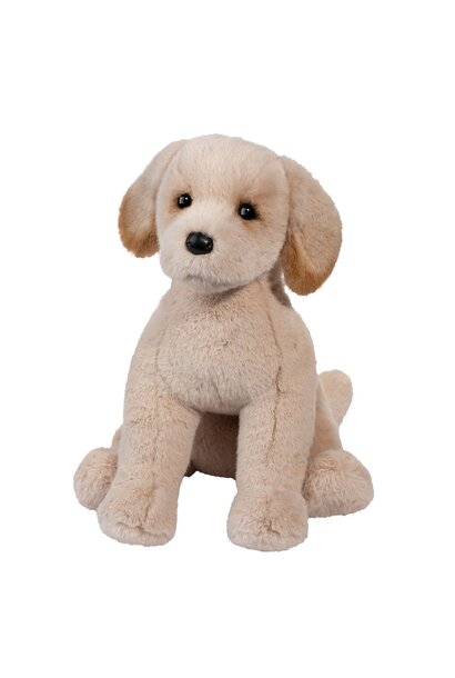 Birch the Yellow Lab Dog