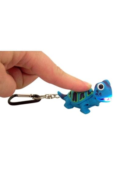 Wildlight Turtle Blue