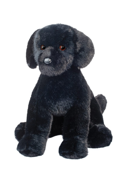 Spruce the Black Lab Dog