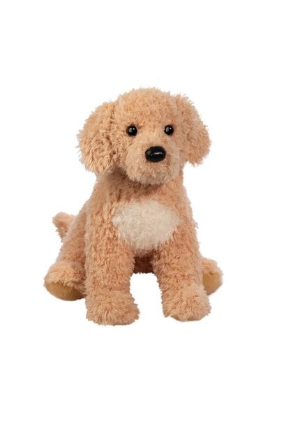 Noodle Golden Doodle