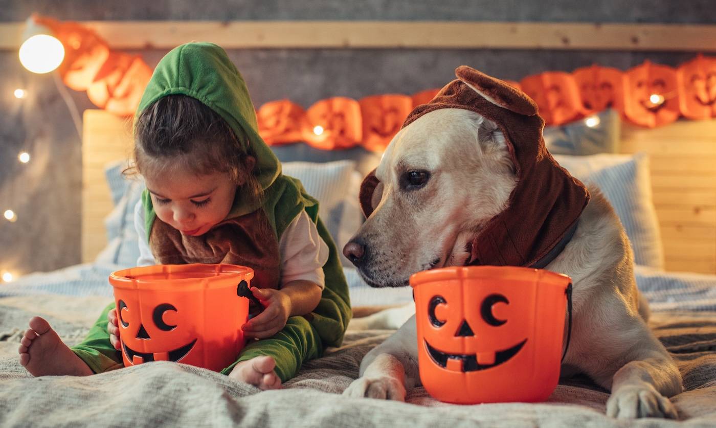 Costco One Stop Meals Kidstop toys and books