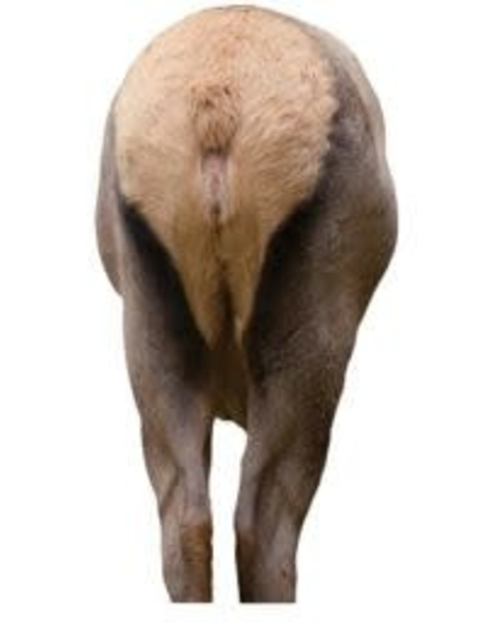 Montana Decoy Co Elk Rump Decoy