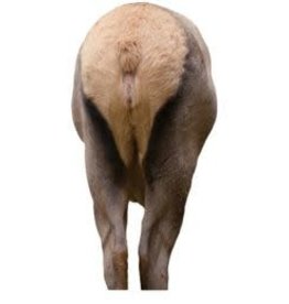 Montana Decoy Co Elk Rump Decoy