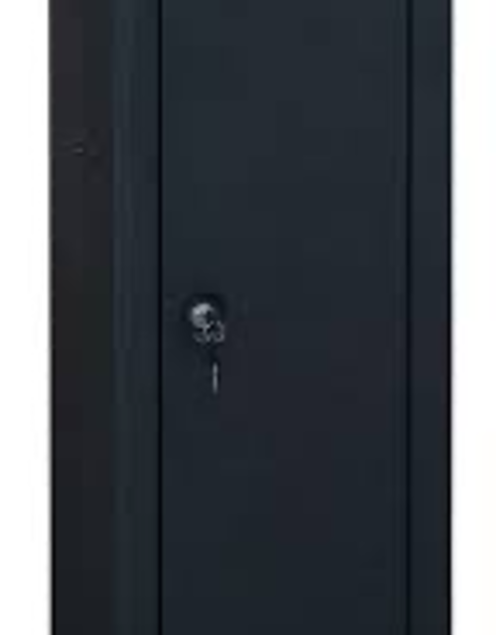 Sports Afield 10 Gun Security Cabinet