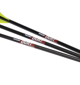 Excalibur 16.5" Illuminated Carbon Arrows