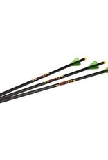 Excalibur FireBolt Illuminated 20” Carbon Arrows