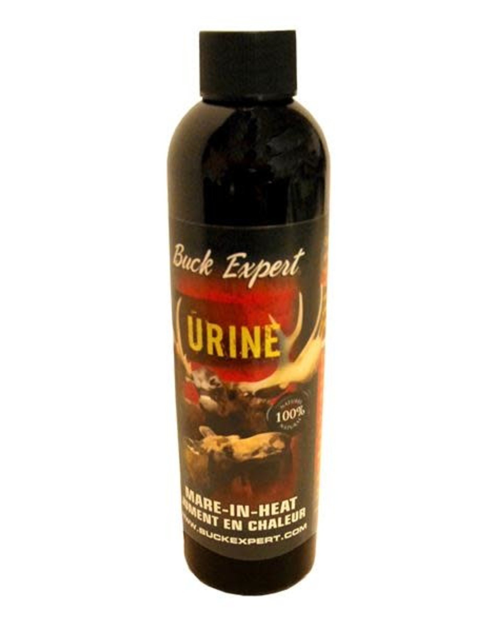 Moose Mare In Heat Urine