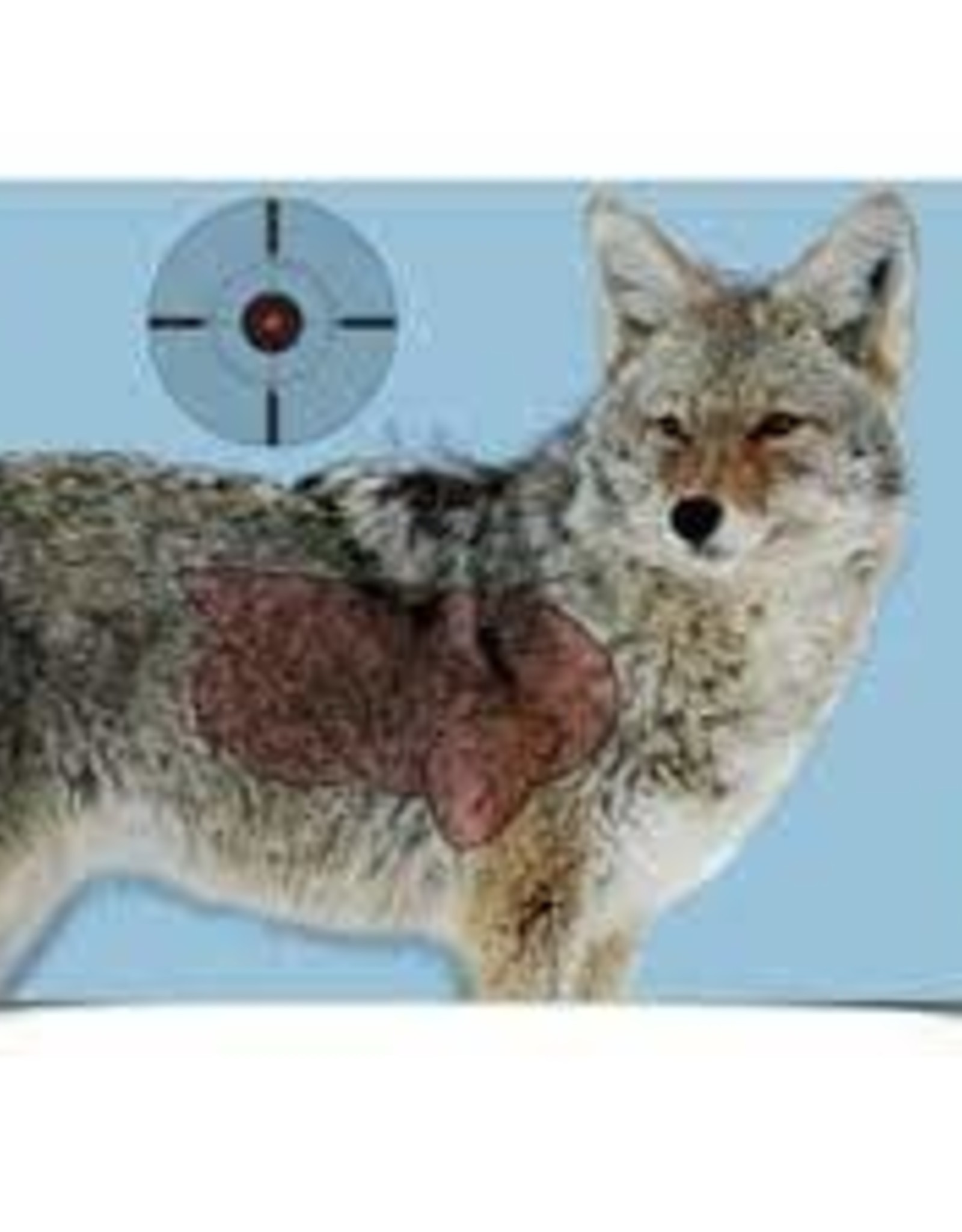 Birchwood Casey PREGAMECOYOTE16.5X24 3 TARGETS