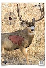 Birchwood Casey Pregame Mule Deer Target 3 Pack