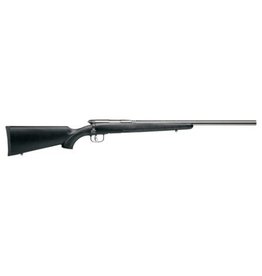 Savage BMAG 17 WSM HVY BRL STAINLESS