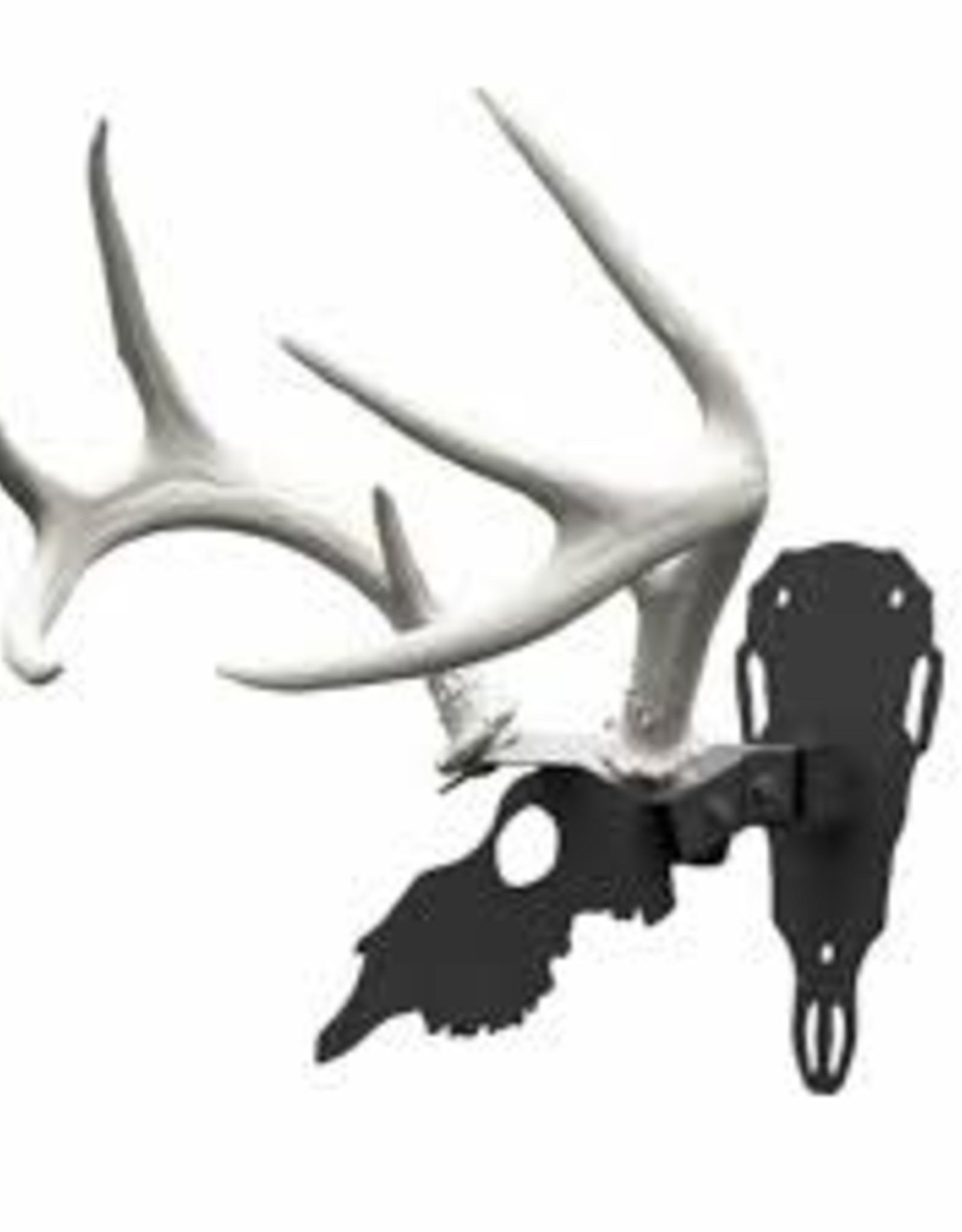 Hunters Specialties Antler Shed Mount