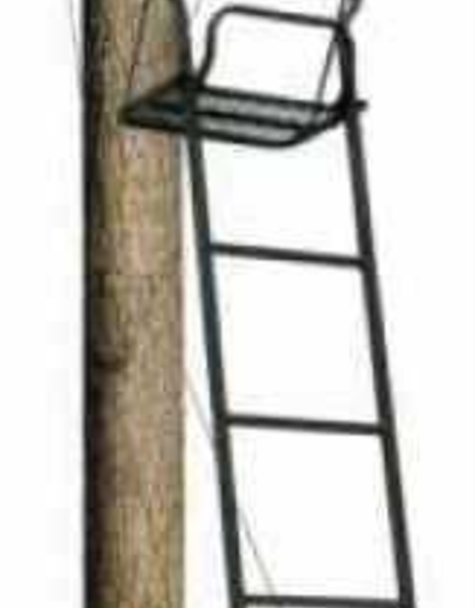 Big Dog FOX HOUND II SINGLE LADDER STAND