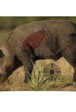 Birchwood Casey Boar Pregame Target 3 Pack