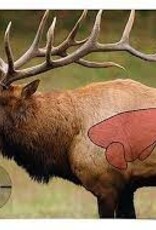 Birchwood Casey Elk Pregame Target 3 Pack