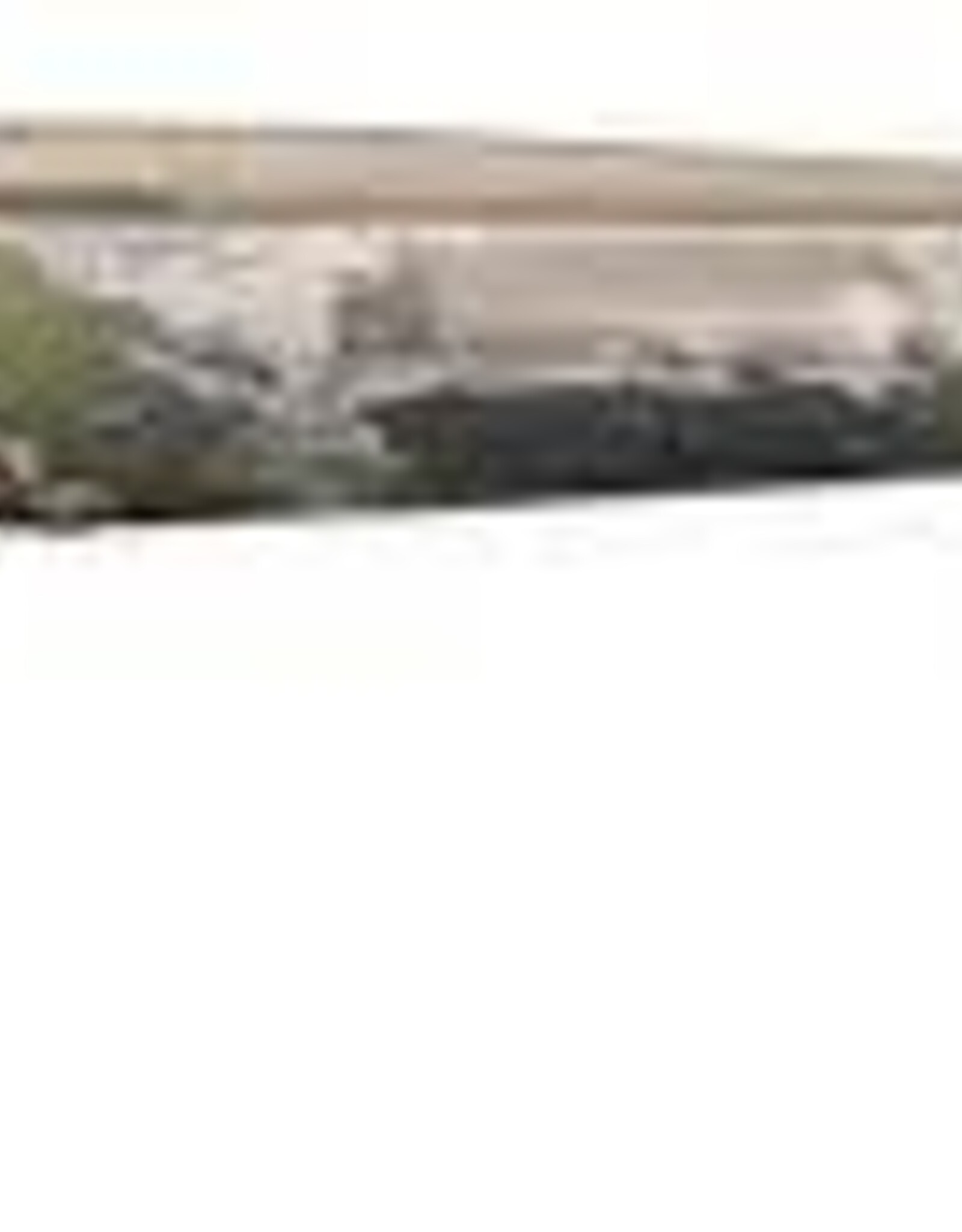 Browning X-Bolt Speed Ovix