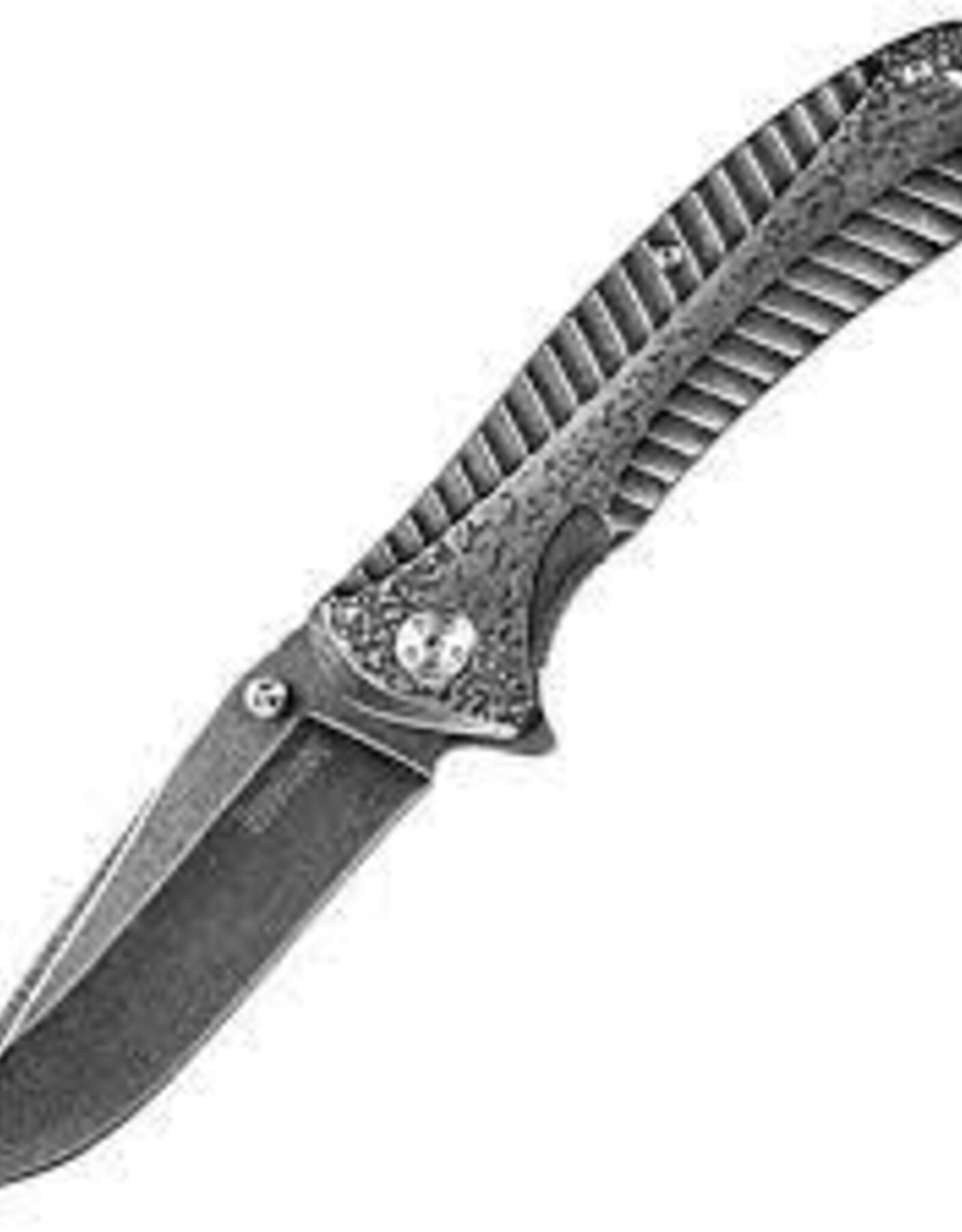 Kershaw Starter Folding Knife