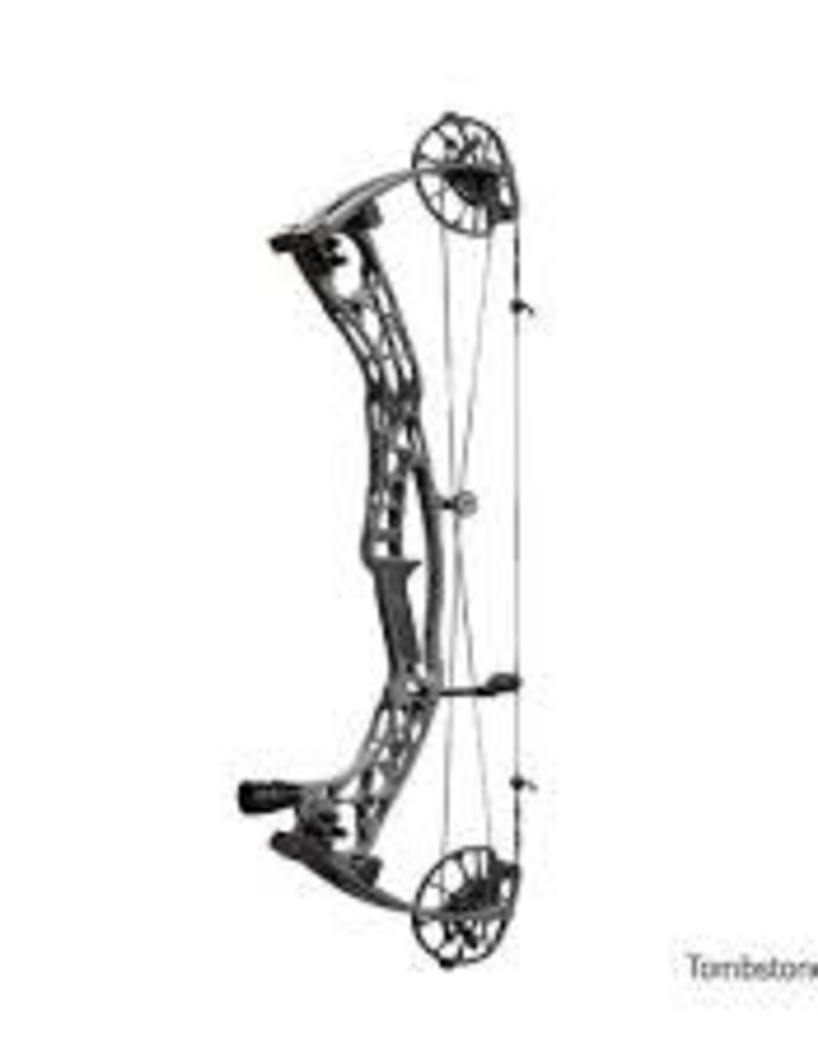 HOYT Alpha-X Solid Color