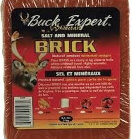 Buck Expert Salt And Mineral Apple 4.4 LB Block