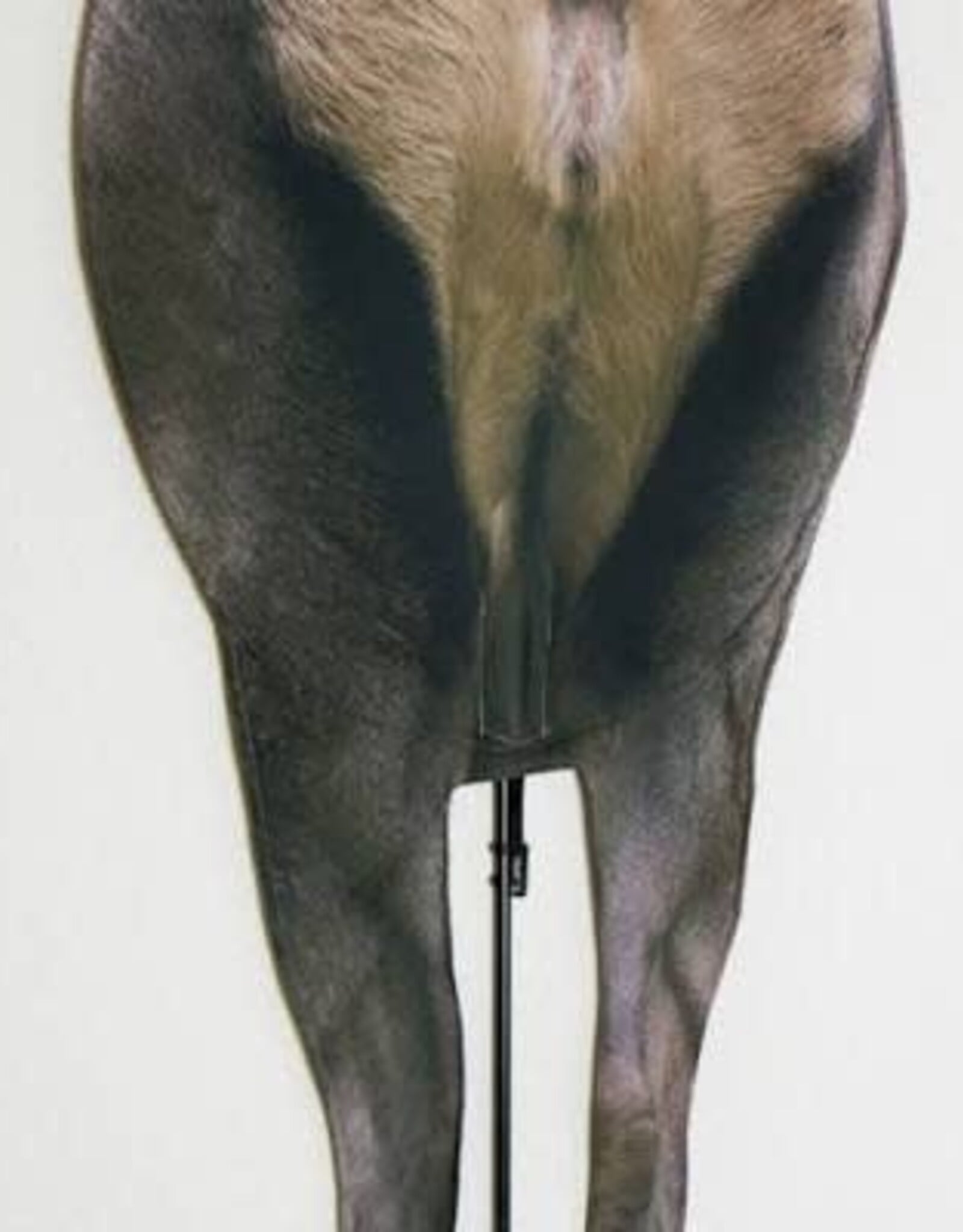 Montana Decoy Co Elk Backcountry Mobile Decoy