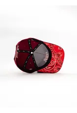 Dana Solid Signature Snap Cap UB