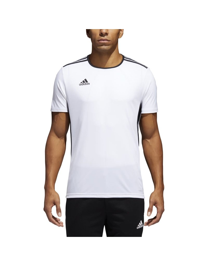 adidas ENTRADA 18 Soccer Jersey, Clear Blue, Youth