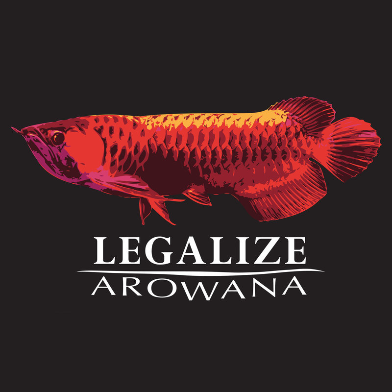 Fish Gallery Fish Gallery Grey Arowana T-Shirt