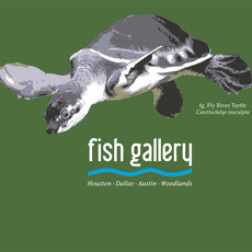 Fish Gallery Fish Gallery Green Fly River Turtle Shirt