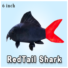 Green Pleco 6" Red Tail Shark Plushie