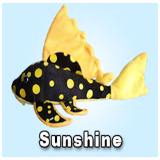 Green Pleco 12" Gold spot / Sunshine Pleco Plushie