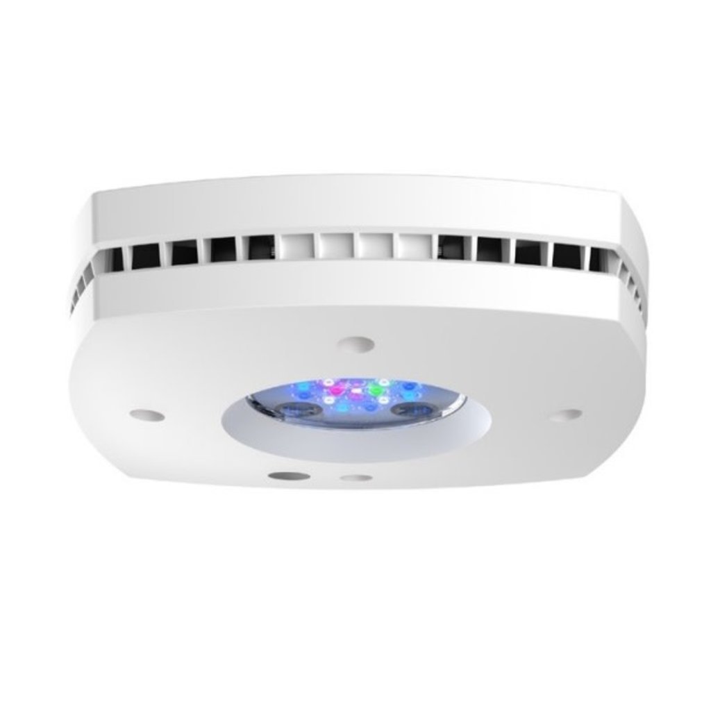 AI Lighting AI Prime 16HD Reef - White