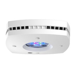 AI Lighting AI Prime 16HD Reef - White