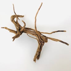 AquaGlobe Pine Spider Wood