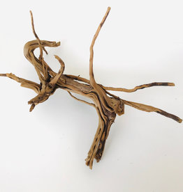 AquaGlobe Pine Spider Wood