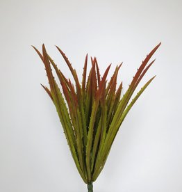 Fish Gallery Agave Grass Red/Green