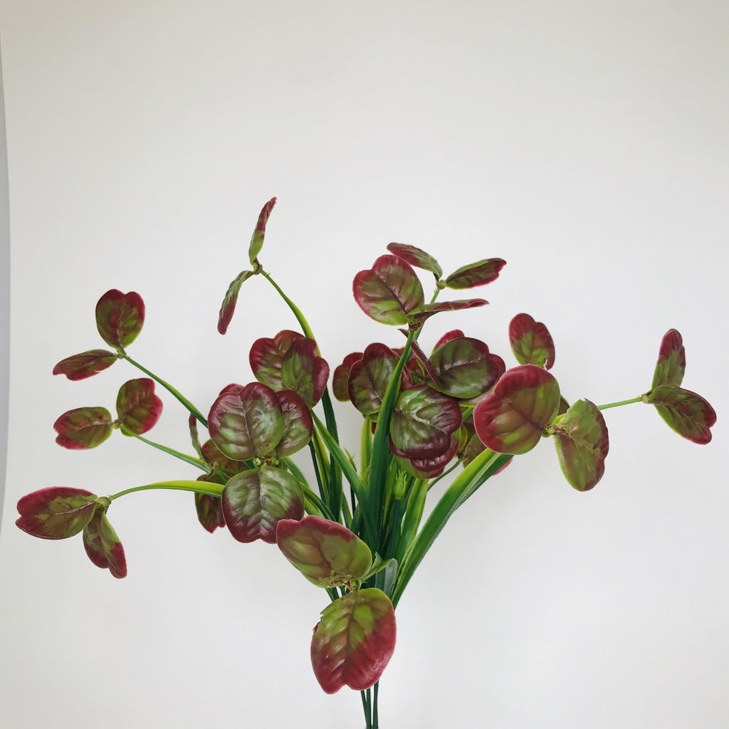 Fish Gallery Lily Bush Green/Red 17"