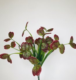 Fish Gallery Lily Bush Green/Red 17"