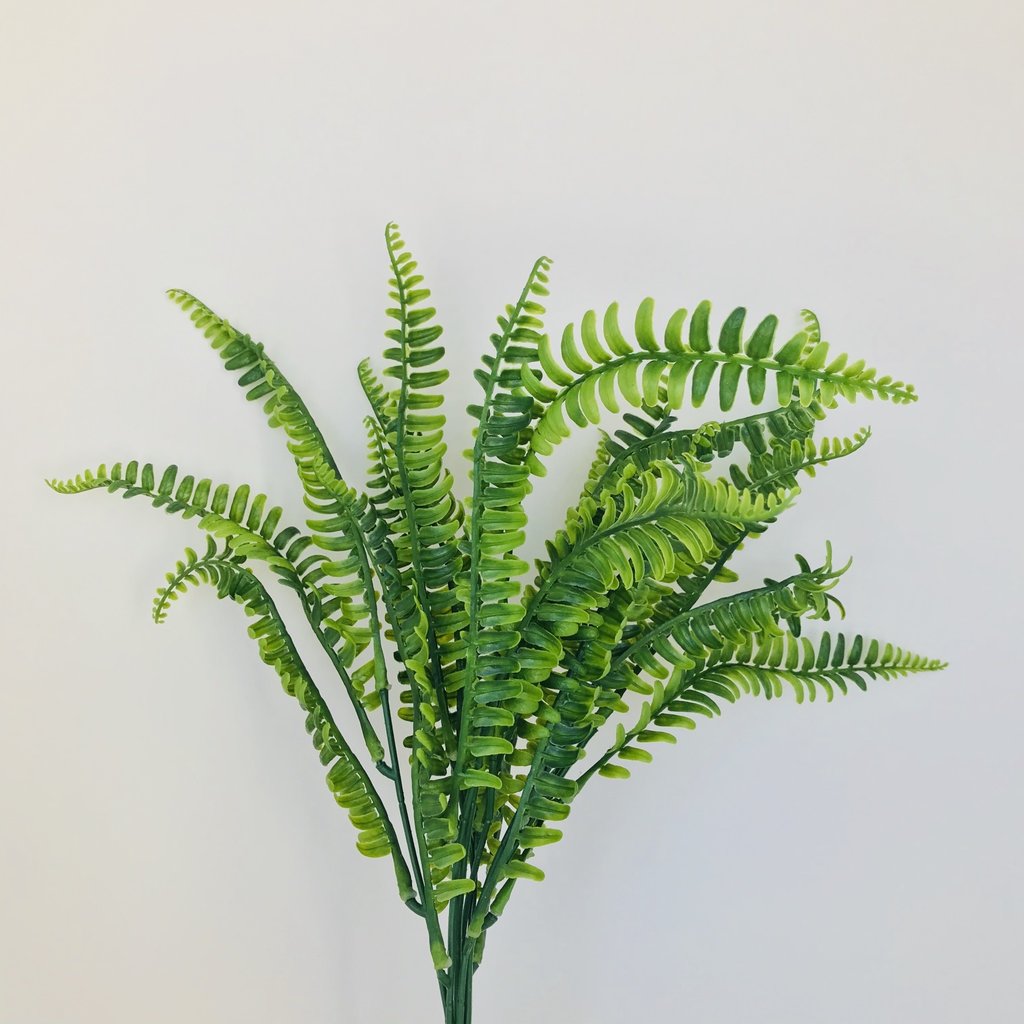 Botanical Silk Garden Mystery Fern