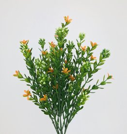 Orange Burst Flowers