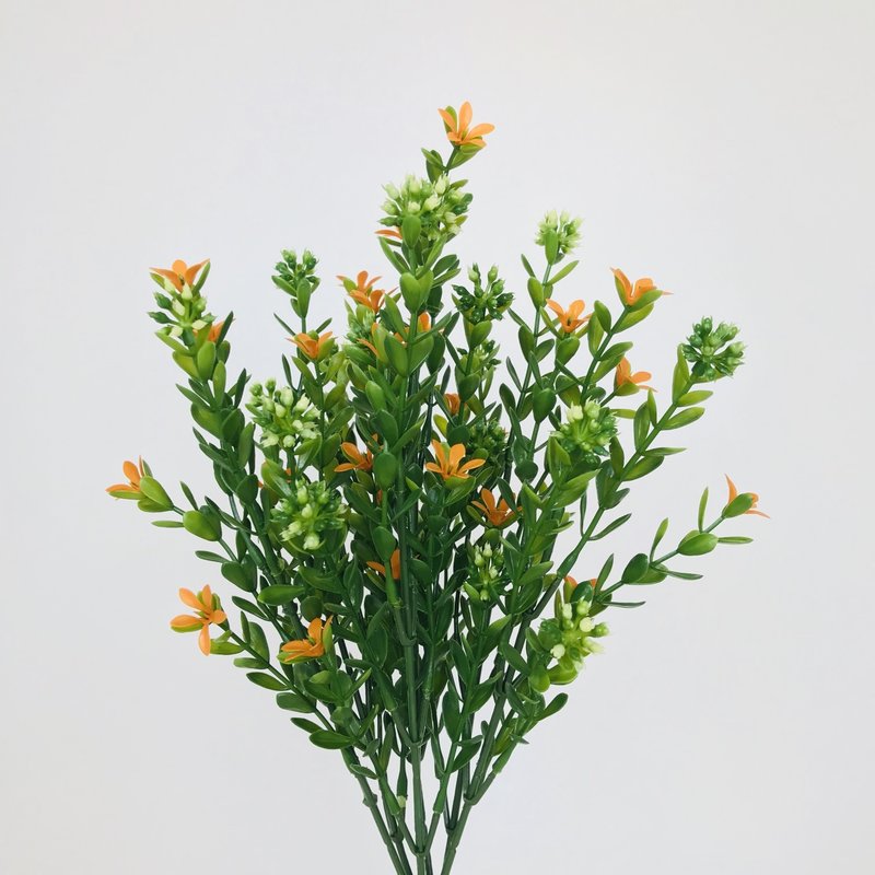 Orange Burst Flowers