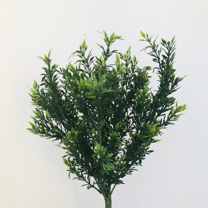 Fish Gallery Tea Leaves Bush 11"