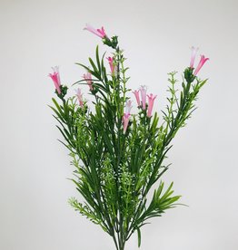Pink Tube Flowers